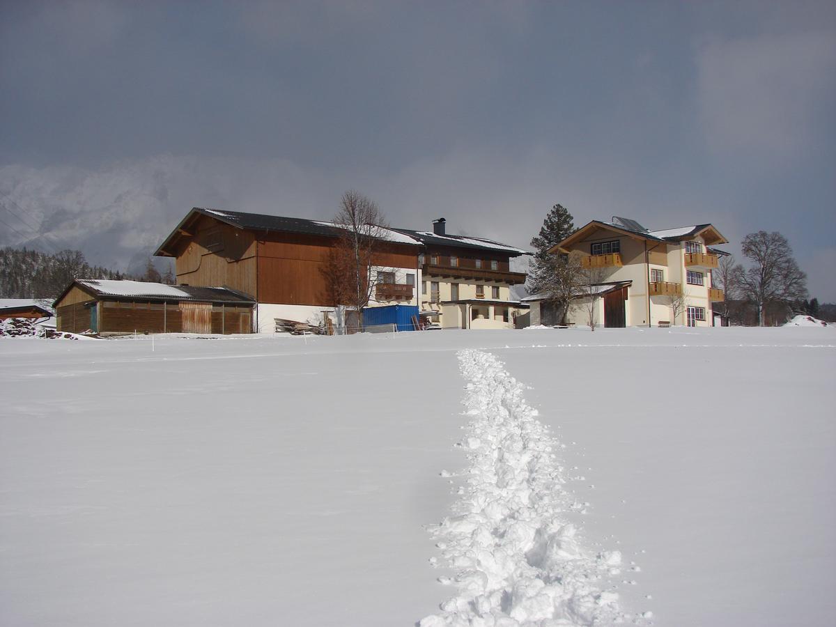 Pension Oberhorner Hotel Schladming Exterior photo